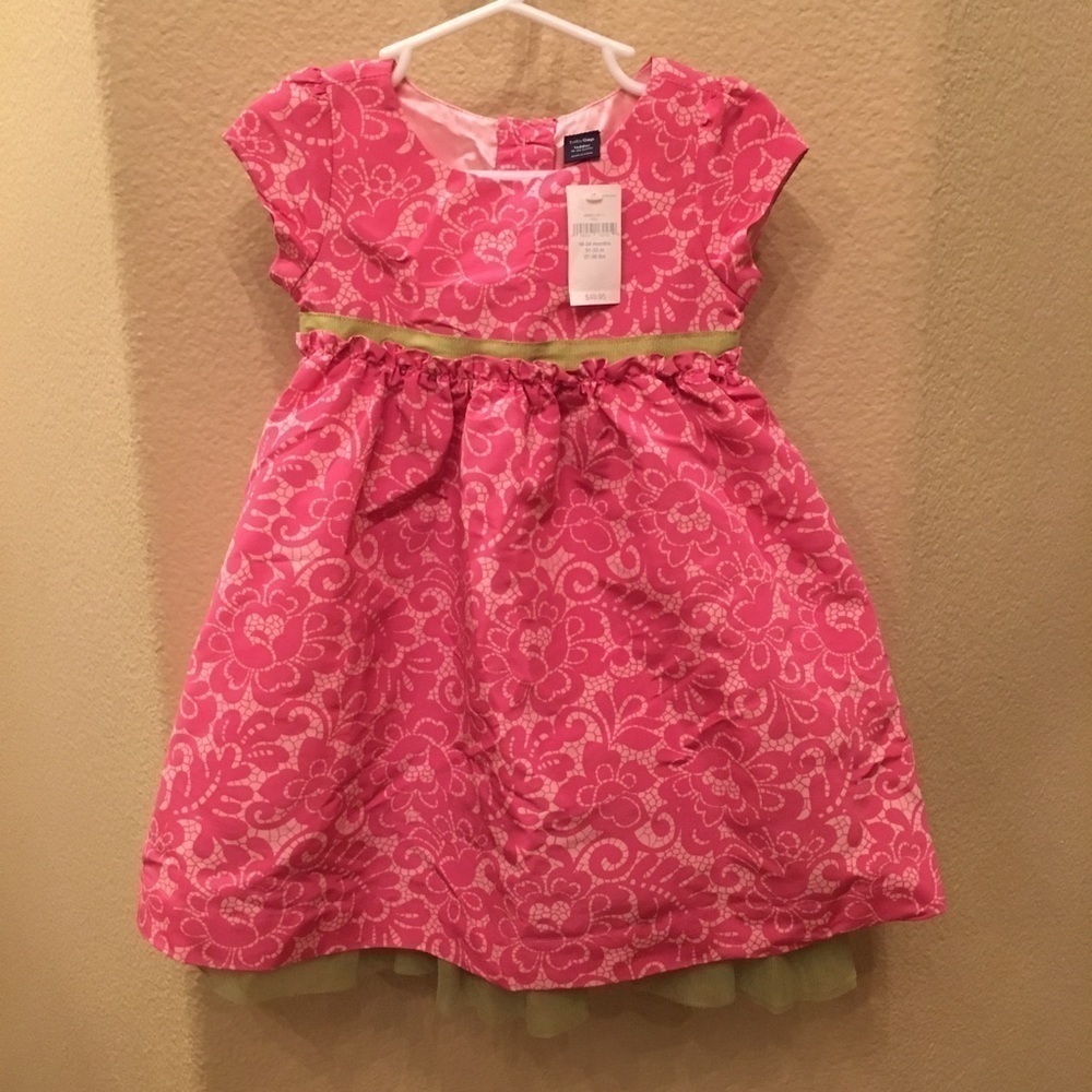 NWT- BABYGAP Girls Pink Floral Party Special Occasion  Dress Size 18-24 Months